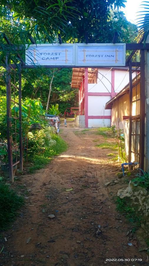 Forest Inn El Nido Eksteriør billede