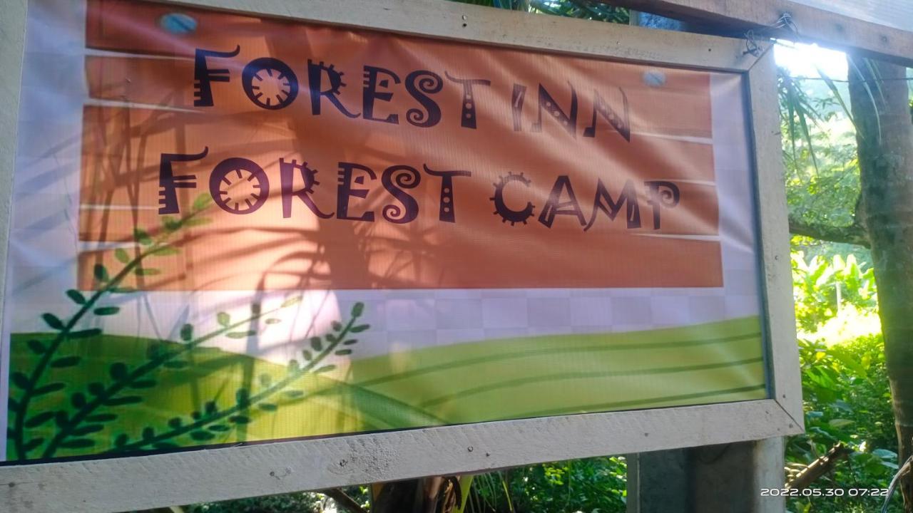Forest Inn El Nido Eksteriør billede